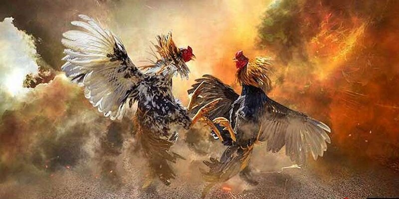 กฎการเล่นตีไก่คีมเหล็กที่แม่นยำที่สุดในปี 2025